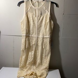 Lace sheath dress